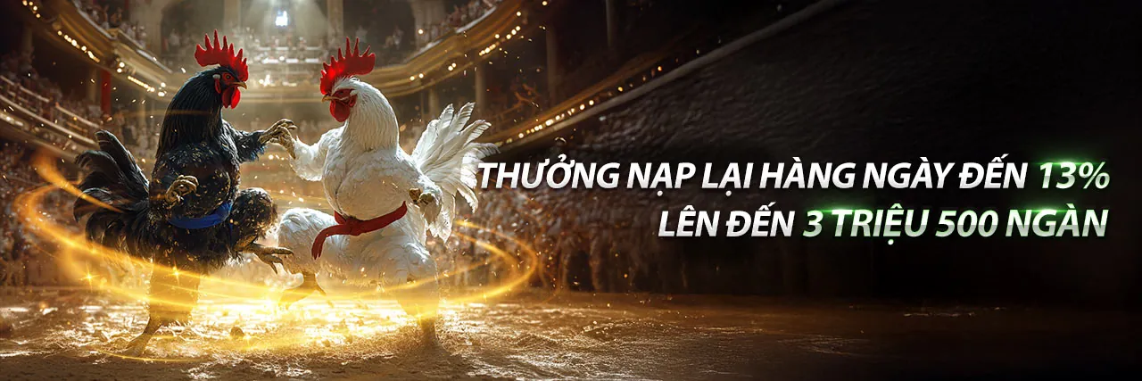 Cơ hội hợp tác cùng 79king2 chính thức